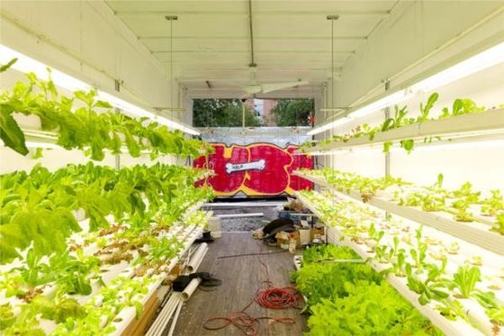 Agricoltura idroponica Case prefabbricate in contenitori In acciaio leggero Casa modulare